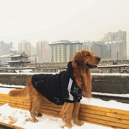 Hostel Jano'S Backpackers Xi'An Xi'an  Zewnętrze zdjęcie