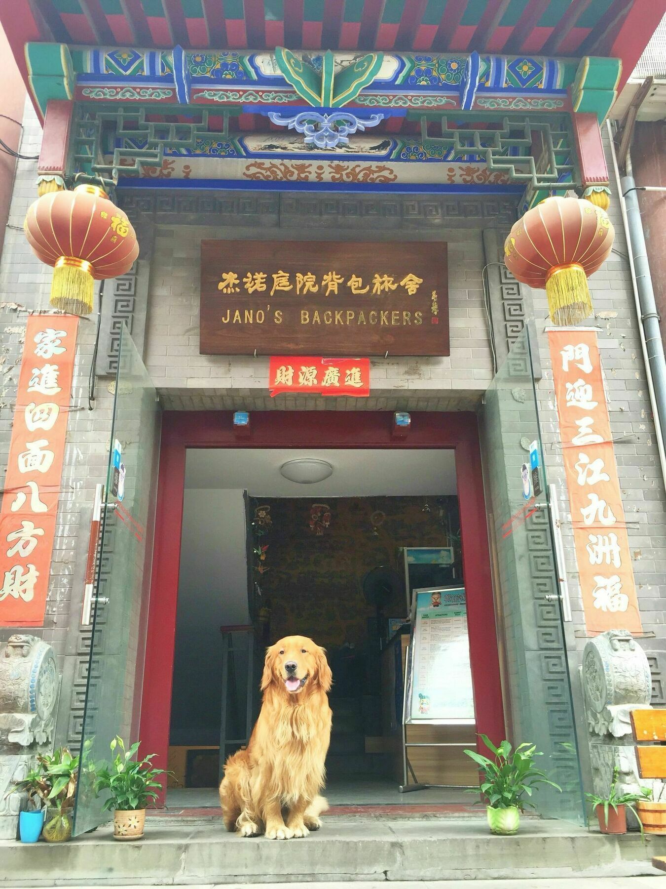 Hostel Jano'S Backpackers Xi'An Xi'an  Zewnętrze zdjęcie
